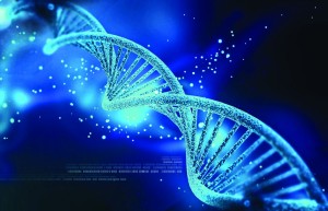 基因日常护理：呵护健康，从基因开始